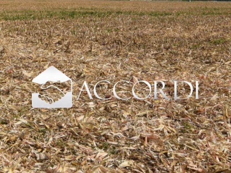 terreno agricolo in vendita ad Istrana
