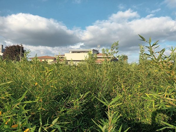 casa indipendente in vendita ad Istrana