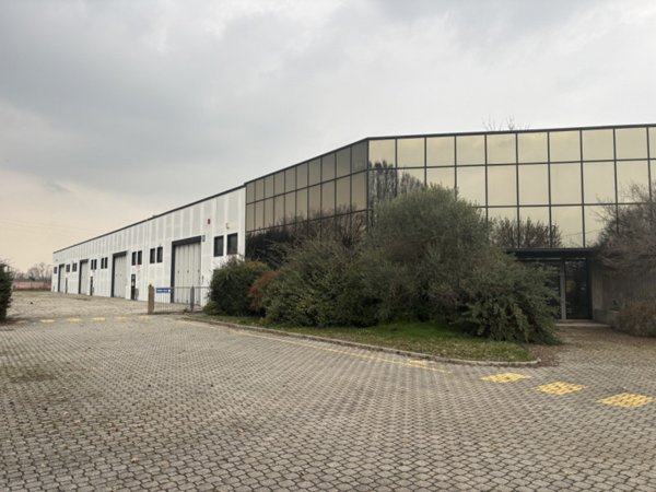 negozio in vendita ad Istrana