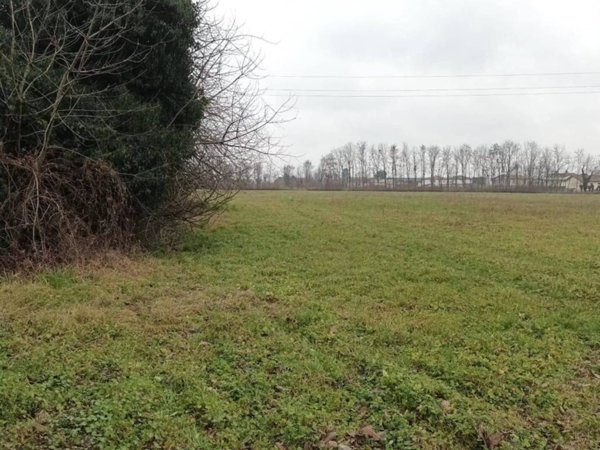 casa indipendente in vendita ad Istrana in zona Sala