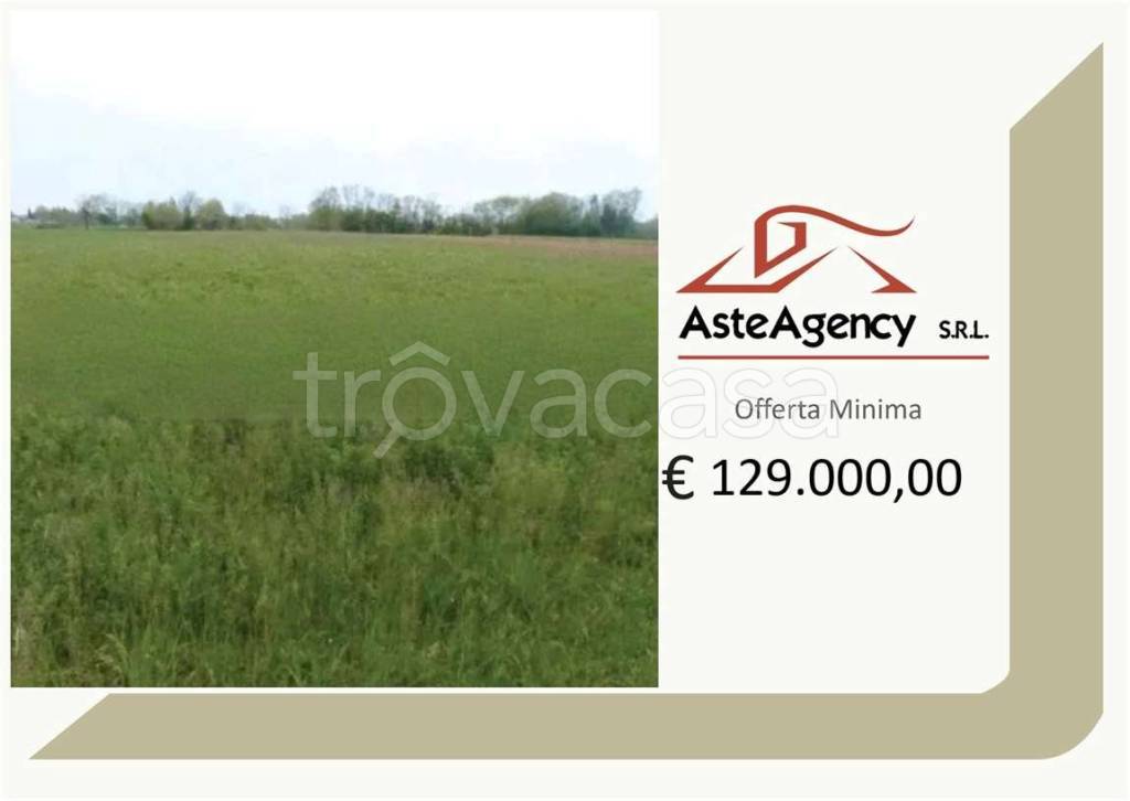 terreno agricolo in vendita ad Istrana