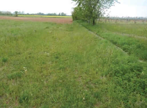 terreno in vendita ad Istrana