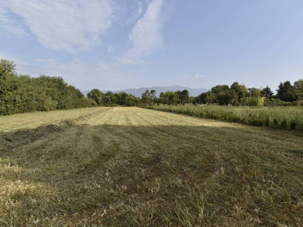 terreno agricolo in vendita a Loria in zona Bessica