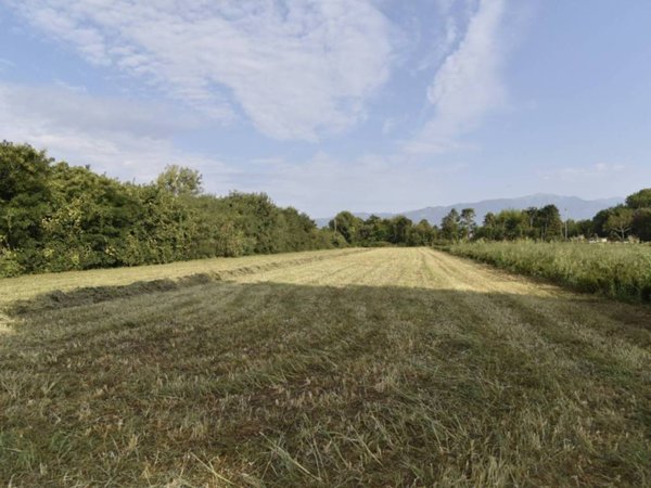 terreno agricolo in vendita a Loria in zona Bessica