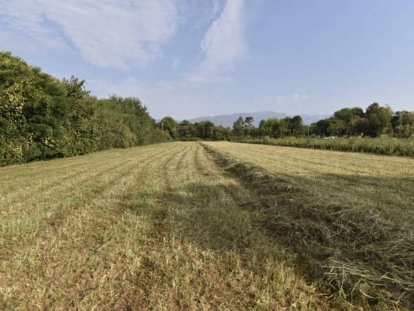 terreno agricolo in vendita a Loria in zona Bessica