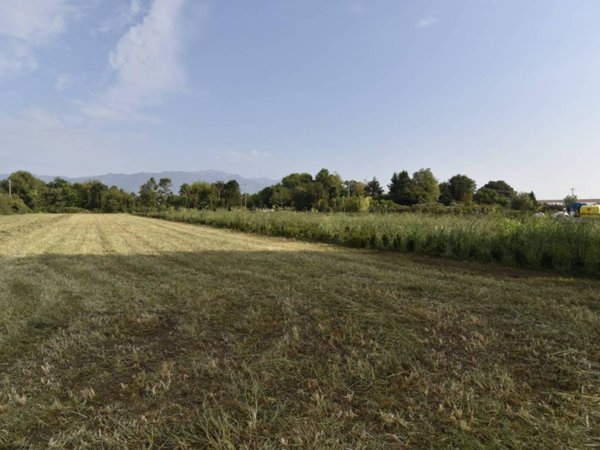 terreno agricolo in vendita a Loria in zona Bessica