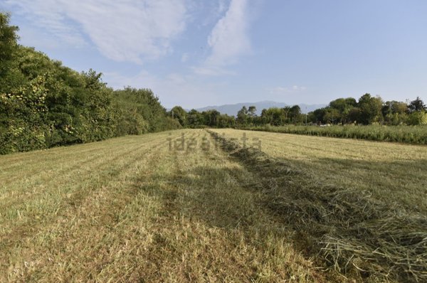 terreno agricolo in vendita a Loria in zona Bessica