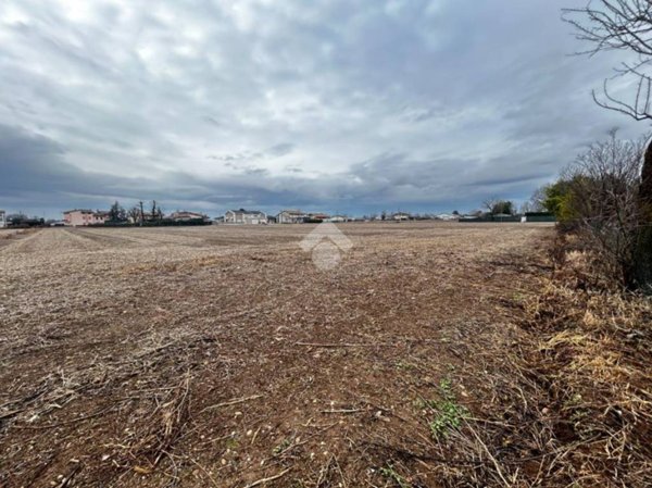 terreno agricolo in vendita a Loria in zona Bessica