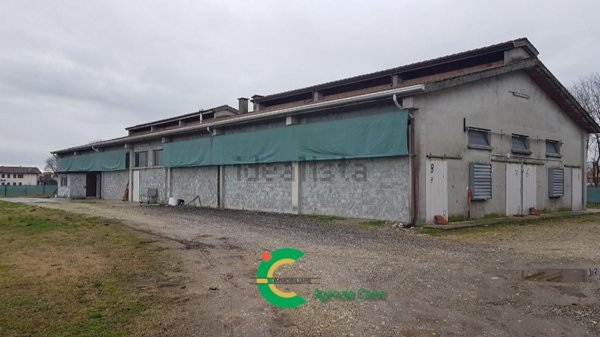 capannone in vendita a Loria in zona Ramon