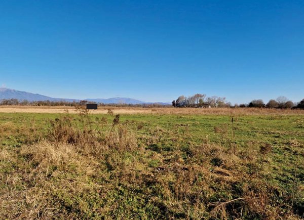 terreno agricolo in vendita a Loria