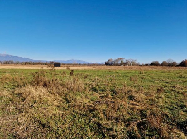 terreno agricolo in vendita a Loria