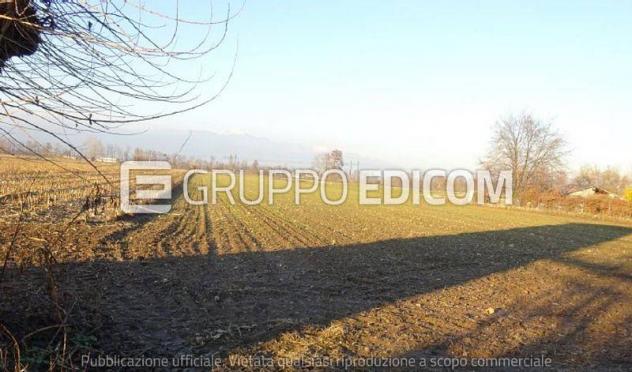 terreno agricolo in vendita a Loria