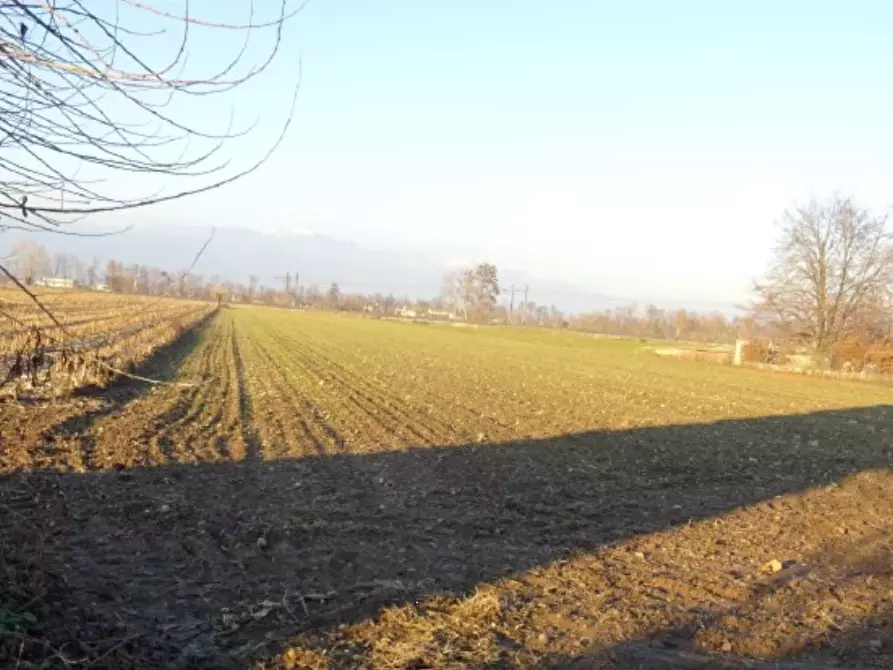 terreno agricolo in vendita a Loria