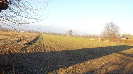 terreno agricolo in vendita a Loria