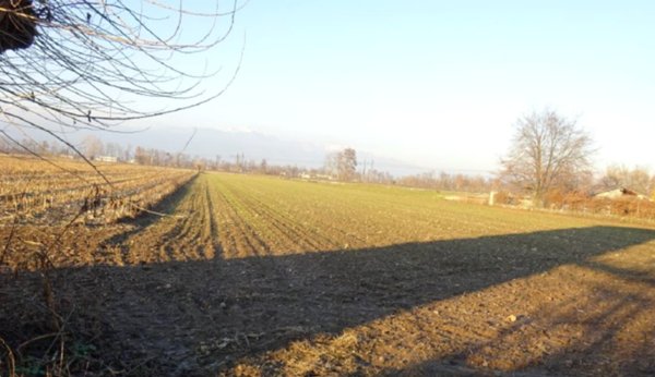 terreno agricolo in vendita a Loria