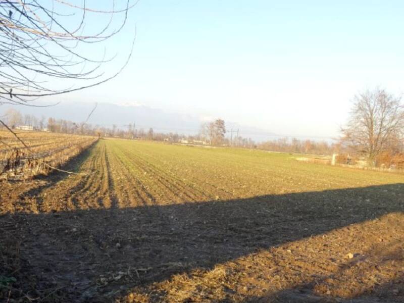 terreno agricolo in vendita a Loria