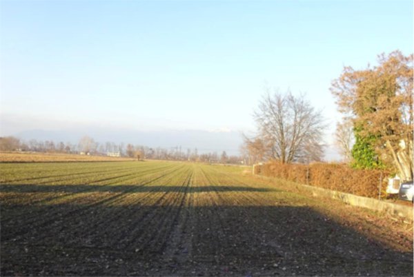 terreno agricolo in vendita a Loria
