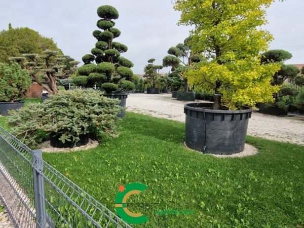 terreno edificabile in vendita a Loria in zona Bessica