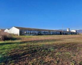 locale commerciale in vendita a Loria