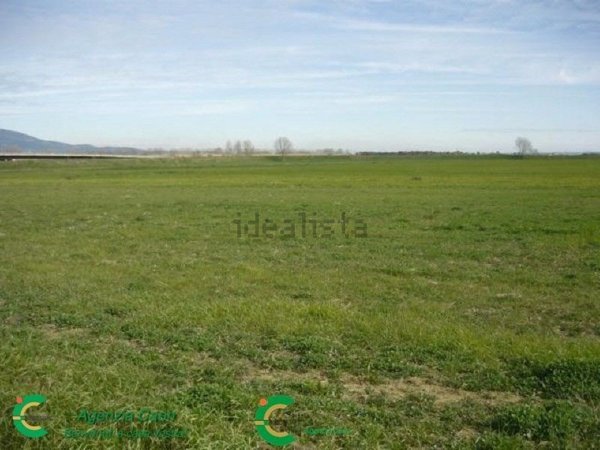 terreno edificabile in vendita a Loria in zona Bessica