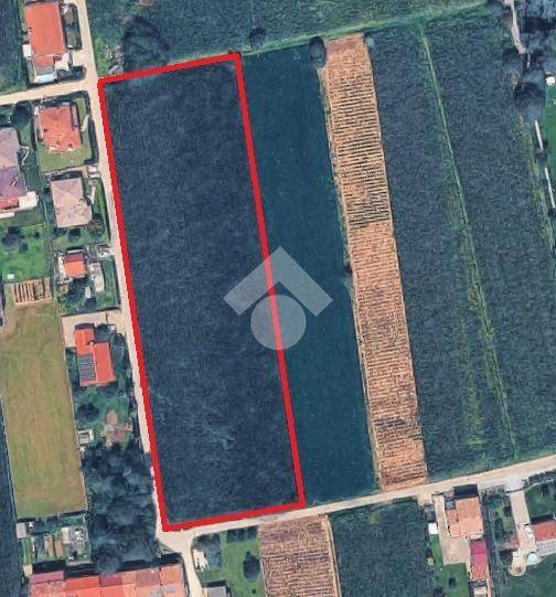 terreno agricolo in vendita a Loria in zona Castione