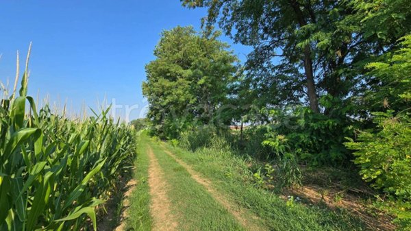 terreno agricolo in vendita a Loria in zona Ramon