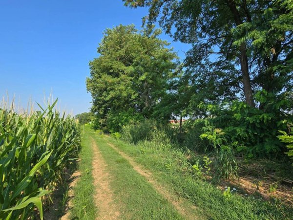 terreno agricolo in vendita a Loria in zona Ramon