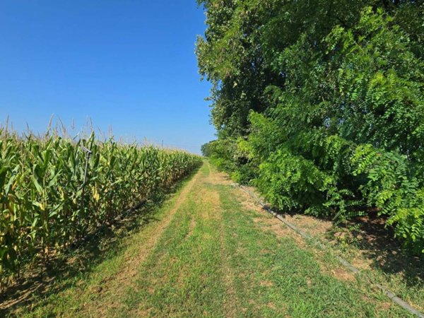 terreno agricolo in vendita a Loria in zona Ramon