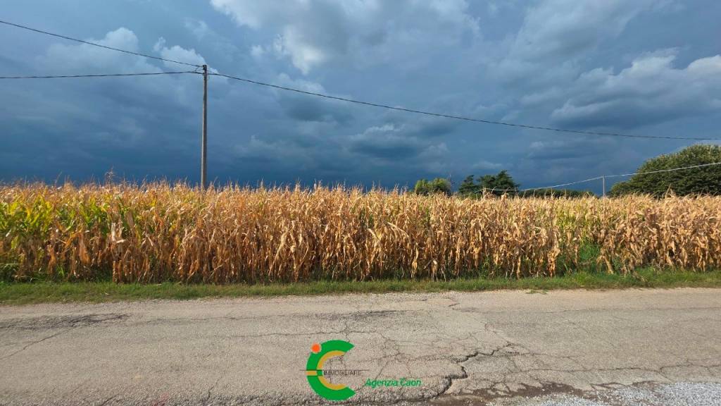 terreno in vendita a Loria in zona Castione