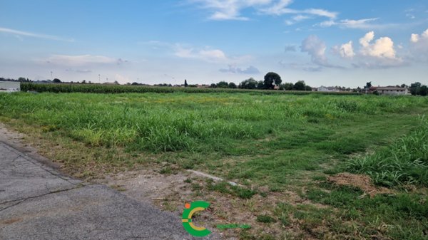 terreno in vendita a Loria in zona Bessica