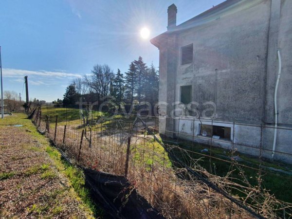 terreno agricolo in vendita a Mansuè