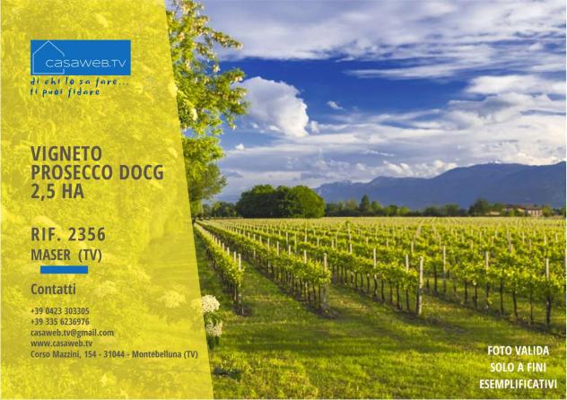 terreno agricolo in vendita a Maser