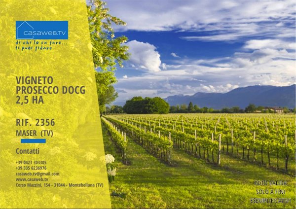 terreno agricolo in vendita a Maser