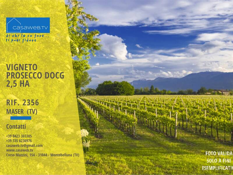terreno agricolo in vendita a Maser
