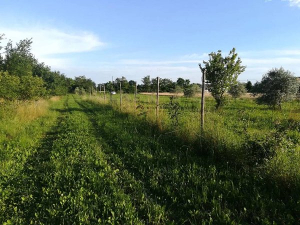 terreno agricolo in vendita a Maser