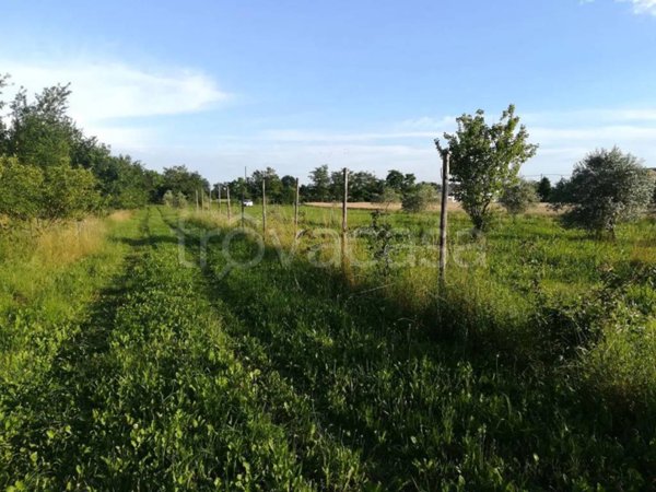 terreno agricolo in vendita a Maser