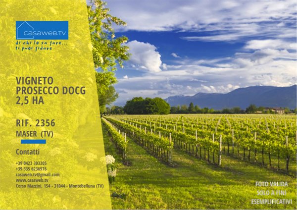 terreno agricolo in vendita a Maser