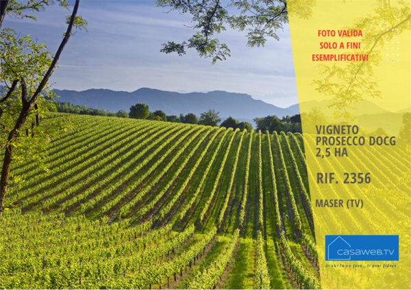 terreno agricolo in vendita a Maser