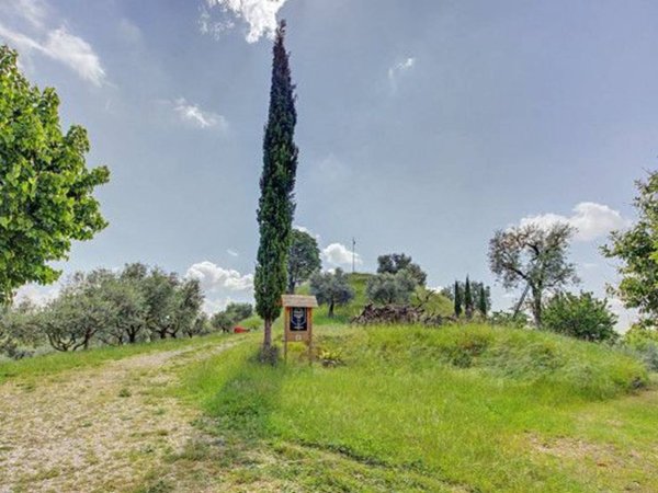 negozio in vendita a Maser
