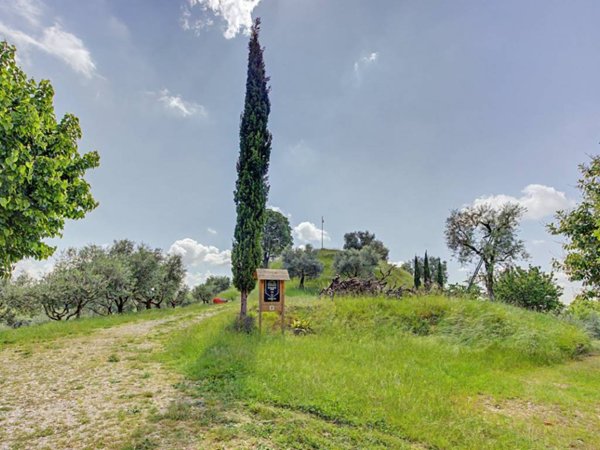 terreno agricolo in vendita a Maser