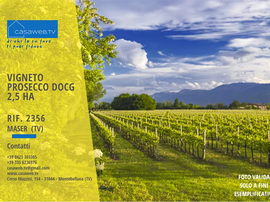 terreno agricolo in vendita a Maser