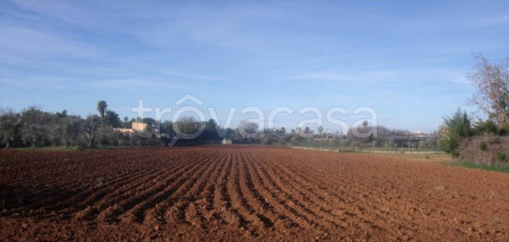 terreno edificabile in vendita a Maserada sul Piave