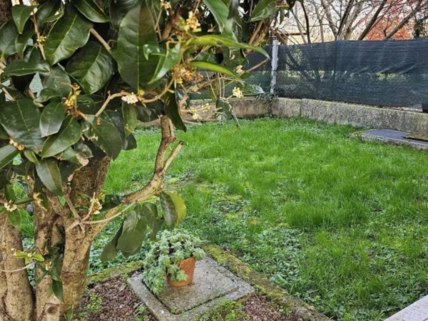 appartamento in vendita a Maserada sul Piave