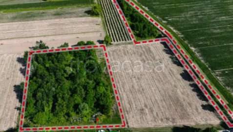 appartamento in vendita a Maserada sul Piave