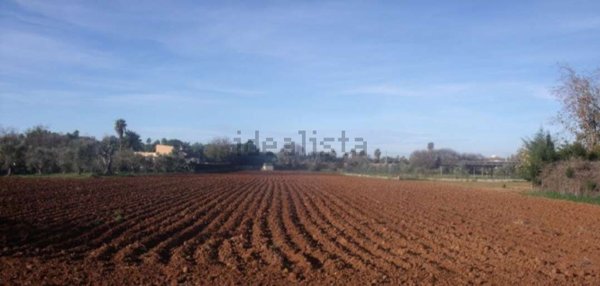 terreno edificabile in vendita a Maserada sul Piave