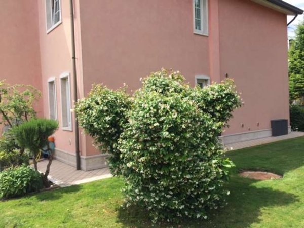 casa indipendente in vendita a Meduna di Livenza
