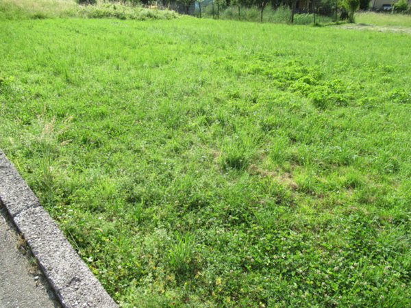 villa in vendita a Miane