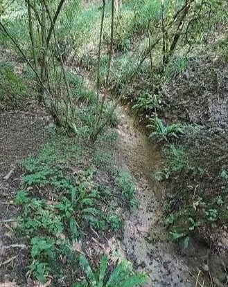 terreno agricolo in vendita a Miane in zona Campea