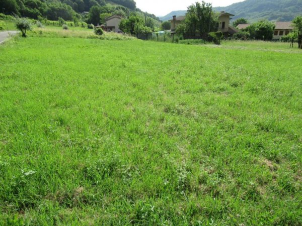 terreno agricolo in vendita a Miane