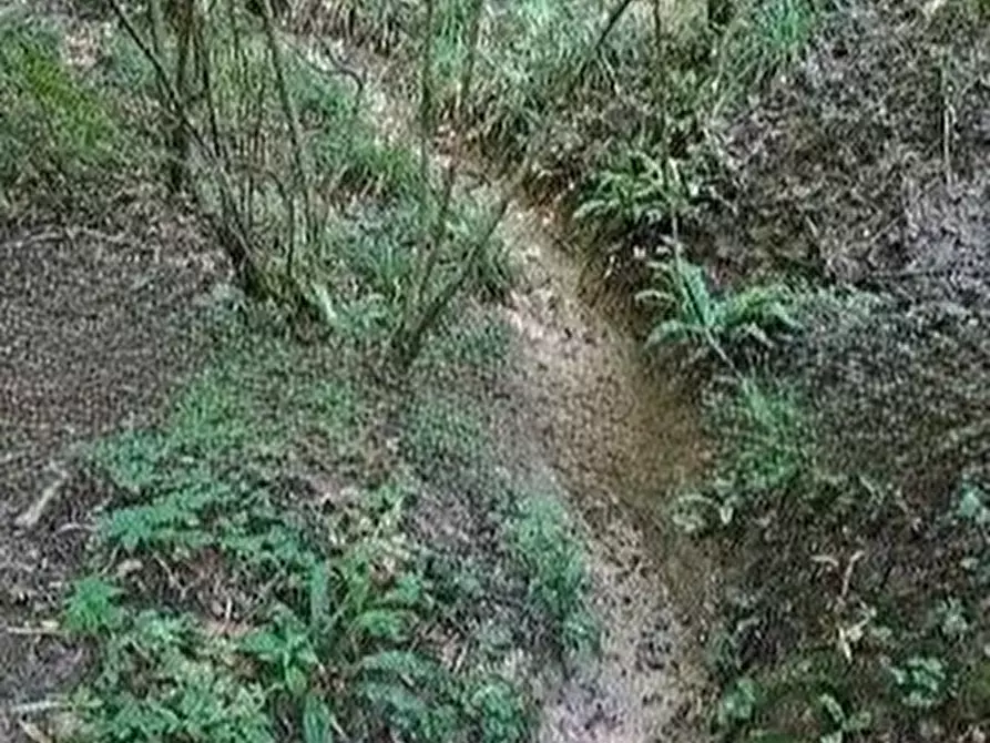 mansarda in vendita a Miane in zona Campea